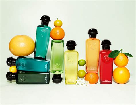 hermes h20|eau sauvage hermes cologne.